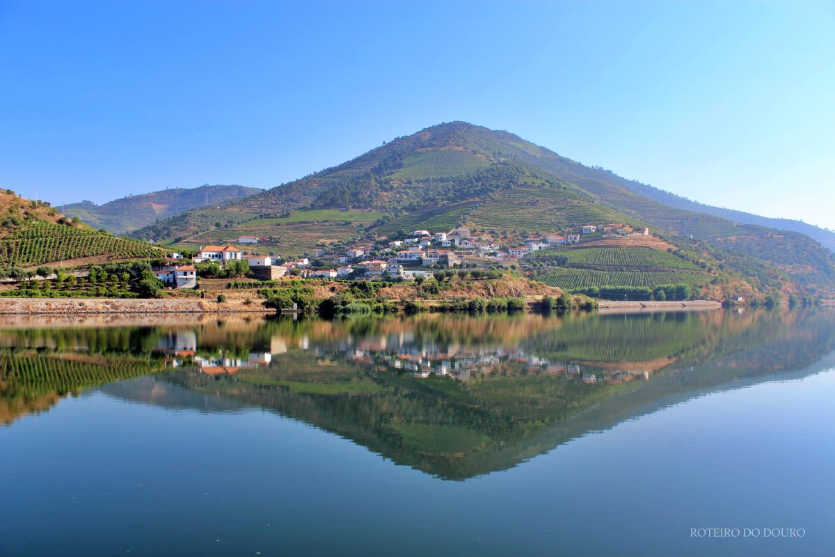 Porquê trabalhar comigo?